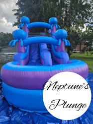 AT20WORK201 1752249876 1 Neptune's Plunge 16 ft. Wet/Dry Slide