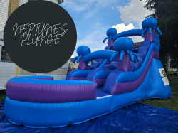 Neptune's Plunge 16 ft. Wet/Dry Slide